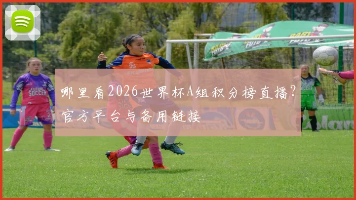 哪里看2026世界杯A组积分榜直播？官方平台与备用链接